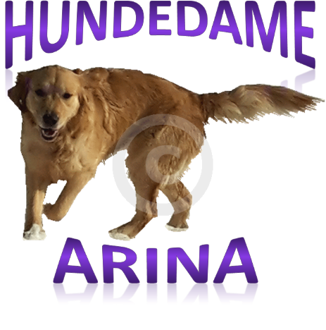 Hundedame Arina